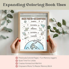 CC Cycle 1 Coloring Book Gift For CC Mom Resource Classical Conversation Cycle 1 Class Art CC Memory Master Song Activity Cc Tutor Download